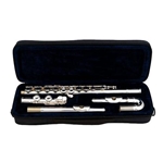 Blessing C101C Curved/Strt Head Flute Case
