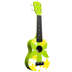 Amahi DDUK6 Green Flower Soprano Uke